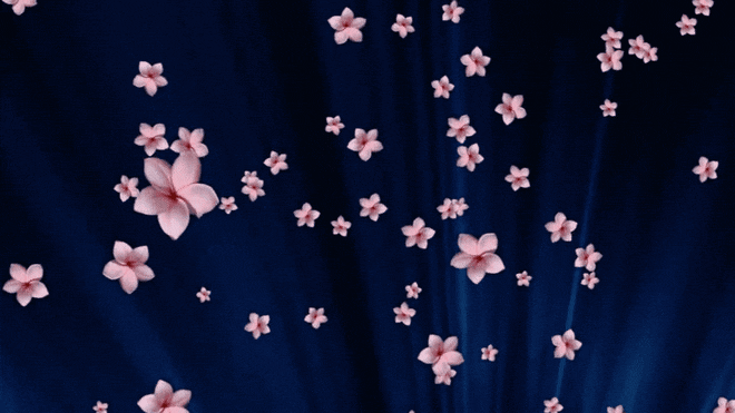 08ccae67dd191ff407572f4e50a1ac40